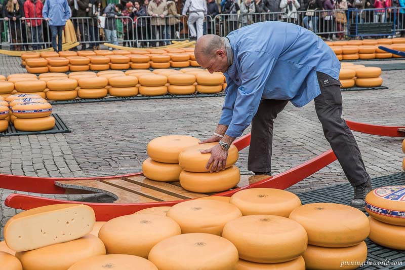 Alkmaar market's cheese display