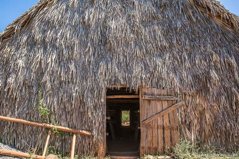 Thatched hut for drying tobacco