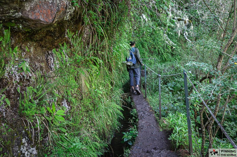 Caldeirao verde levada hiking path