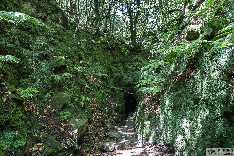 Caldeirao verde levada walk tunnel entrance