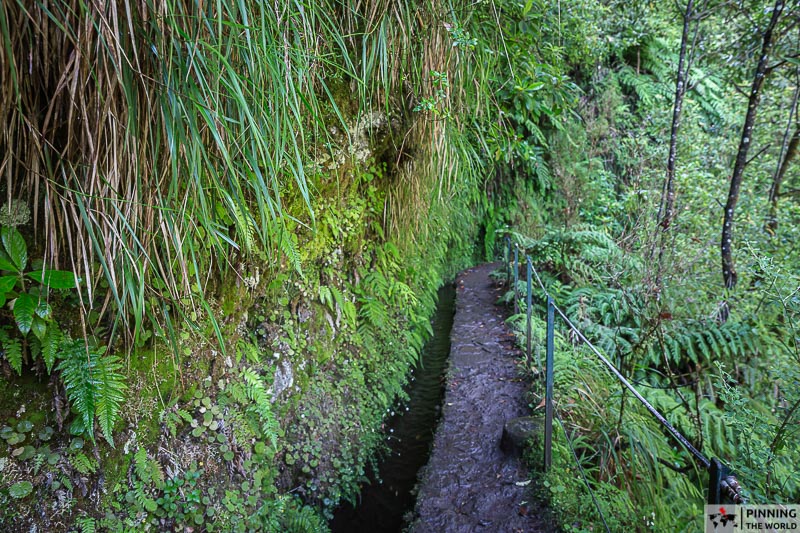 PR9 levada walk caldeiroa verde vegetation